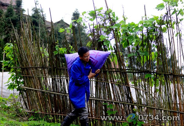 中國衡陽新聞網(wǎng) www.gdaosheng.com