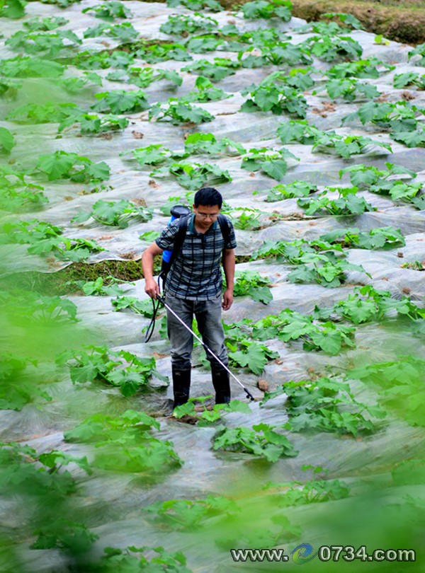 中國衡陽新聞網(wǎng) www.gdaosheng.com