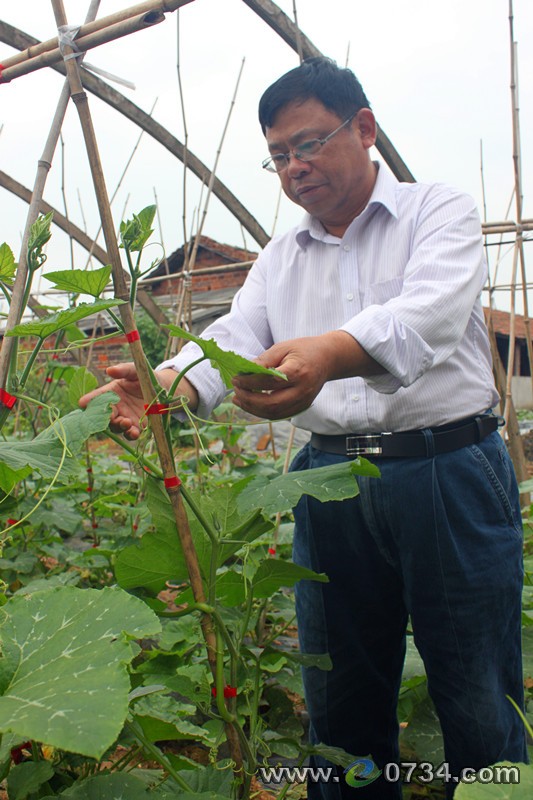 中國(guó)衡陽(yáng)新聞網(wǎng) www.gdaosheng.com