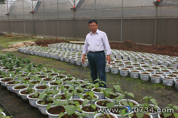 中國(guó)衡陽(yáng)新聞網(wǎng) www.gdaosheng.com