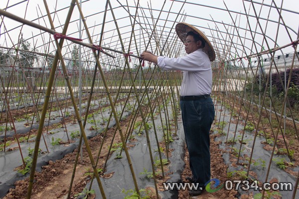 中國(guó)衡陽(yáng)新聞網(wǎng) www.gdaosheng.com