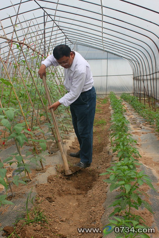 中國(guó)衡陽(yáng)新聞網(wǎng) www.gdaosheng.com