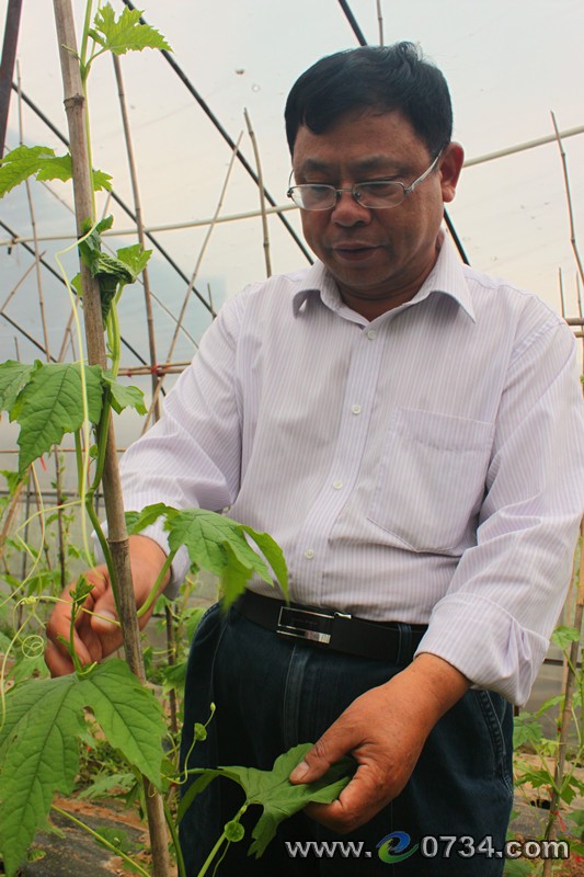 中國(guó)衡陽(yáng)新聞網(wǎng) www.gdaosheng.com