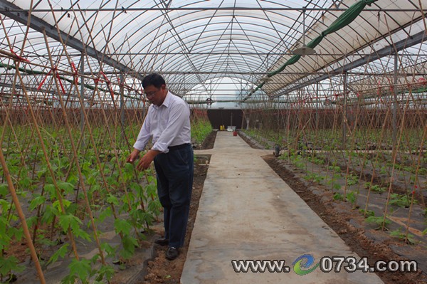 中國(guó)衡陽(yáng)新聞網(wǎng) www.gdaosheng.com