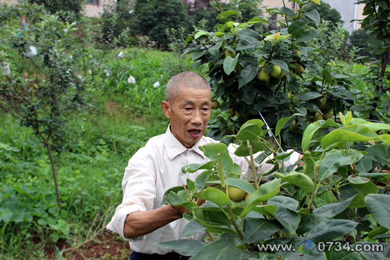中國衡陽新聞網(wǎng) www.gdaosheng.com