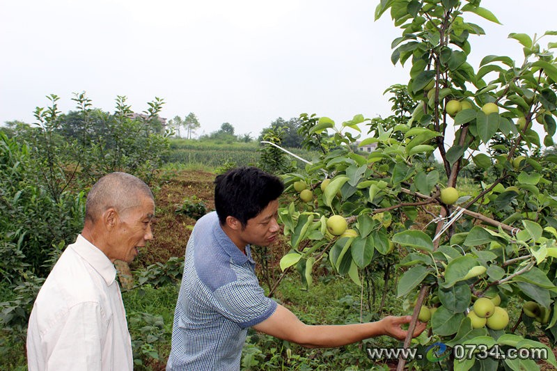 中國衡陽新聞網(wǎng) www.gdaosheng.com